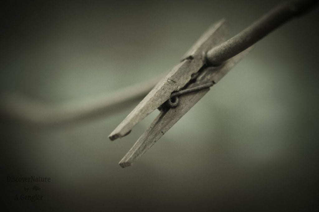 Wasknijper.